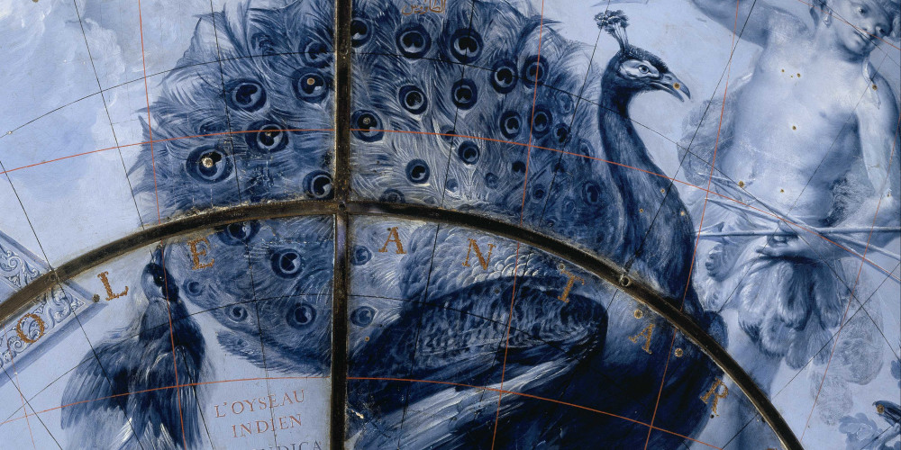 L’Oiseau indien