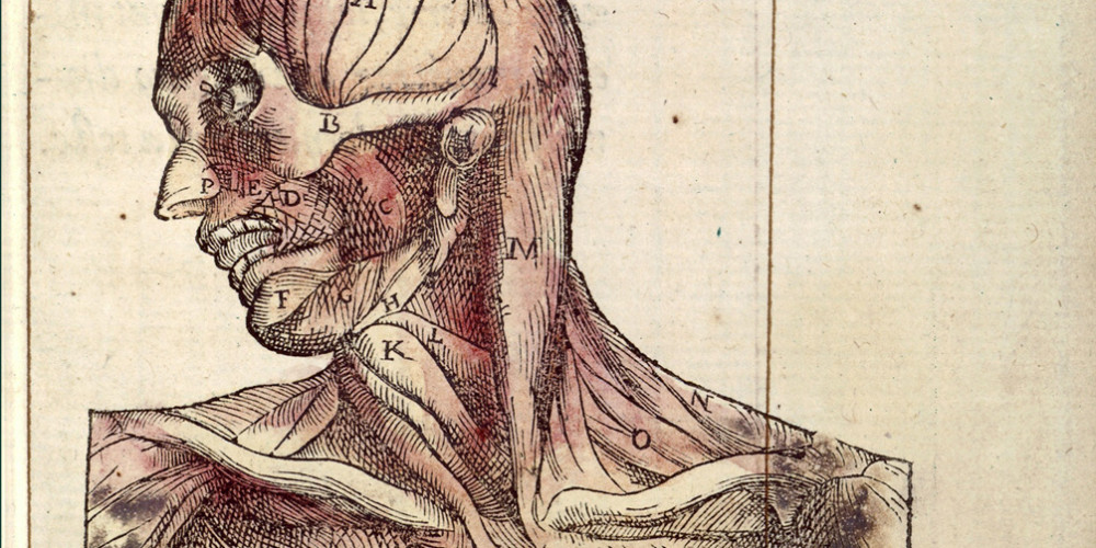 La Méthode curative des playes et fractures de la teste humaine
