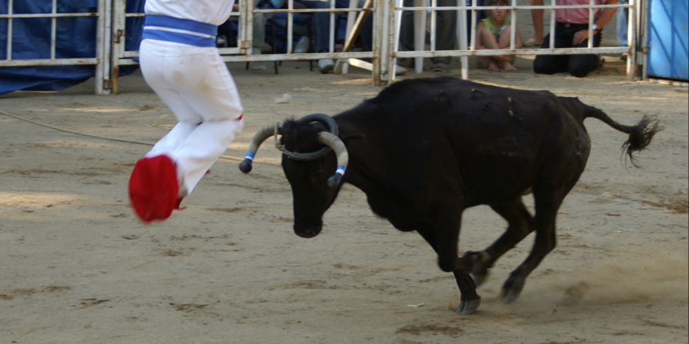 La course landaise