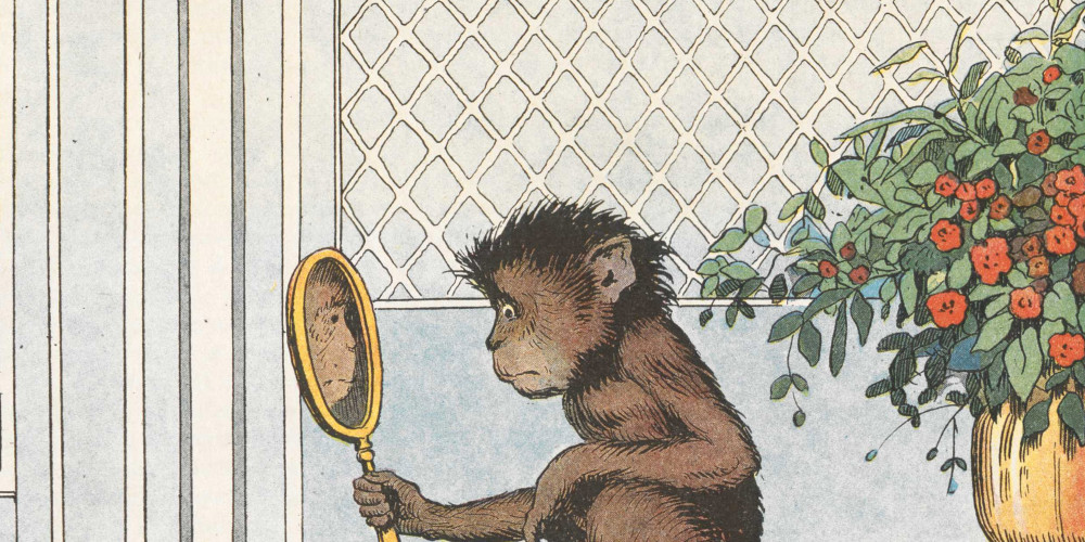 Le singe