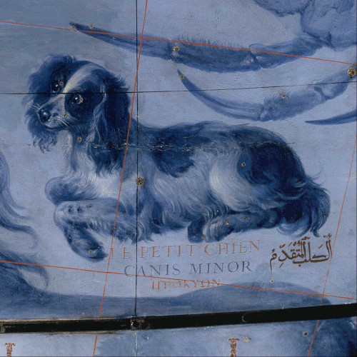 Le Petit Chien