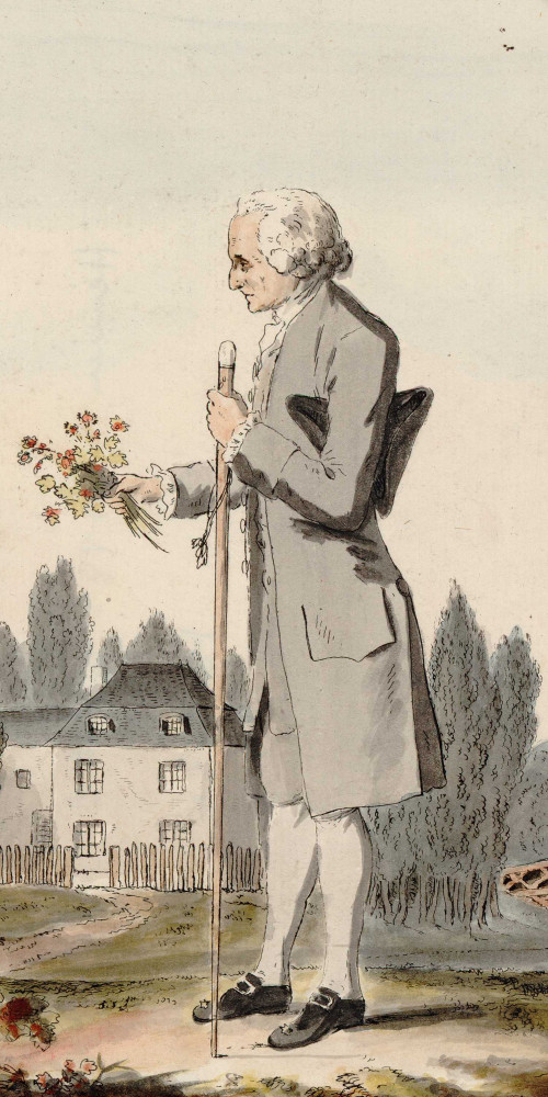 Jean-Jacques Rousseau herborisant dans la campagne