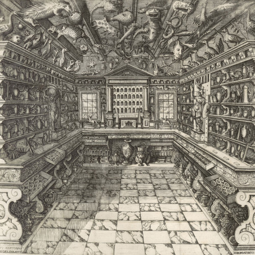 Cabinet de curiosités de l'apothicaire Calzolari