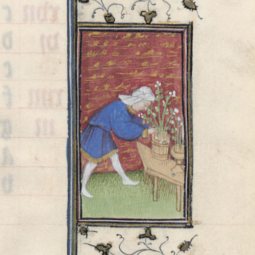 Le jardinier