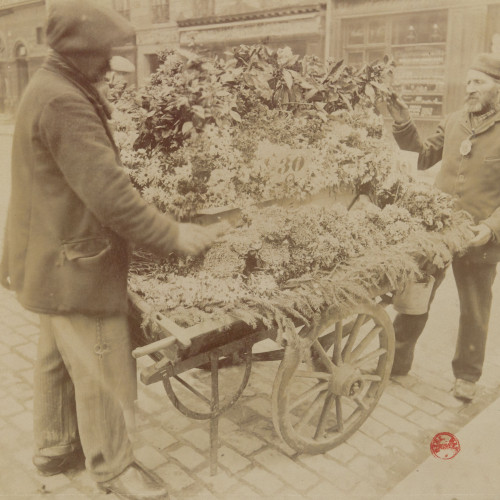 Fleuriste