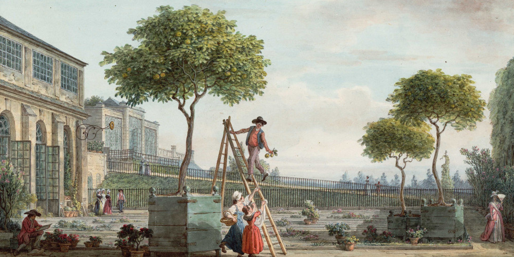 Jardin du Roi - Orangerie