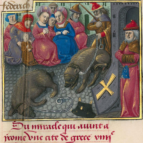 Le montreur d’ours