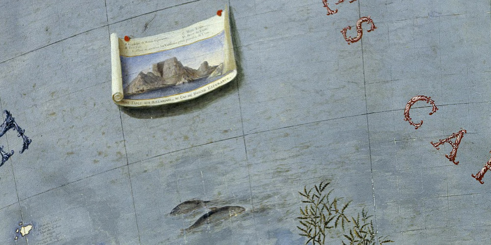 Deux poissons de roche
