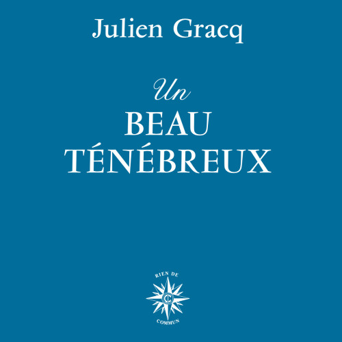 Un Beau ténébreux