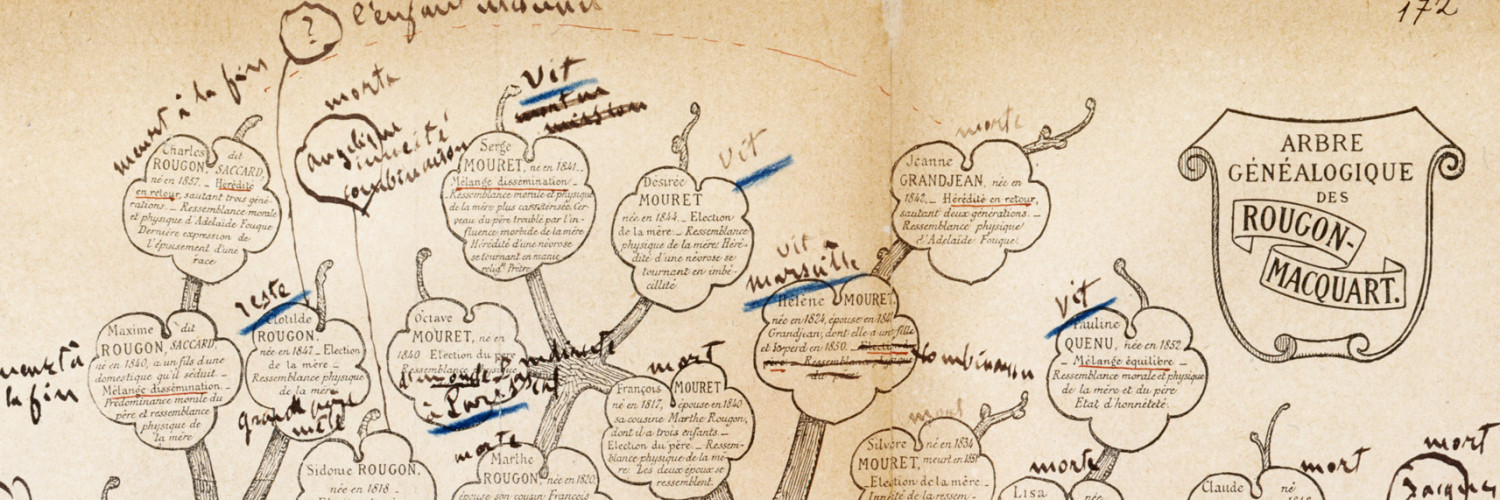 Arbre généalogique des Rougon-Macquart annoté