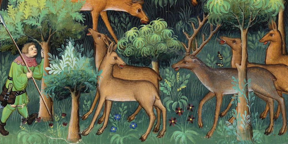 Chasse au cerf