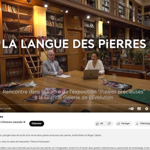 Exposition Pierres précieuses MNHN