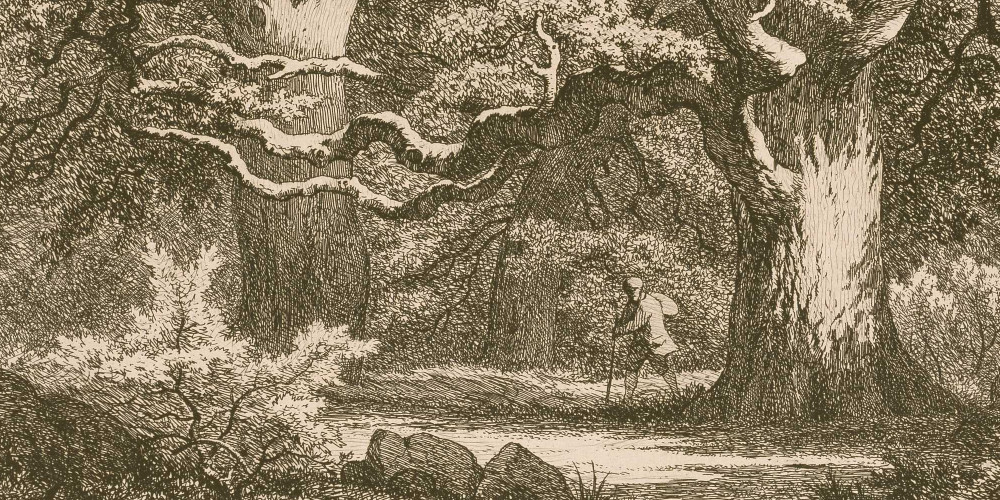 Fontainebleau