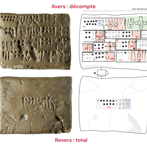 Structure d'une tablette proto-iranienne de Suse