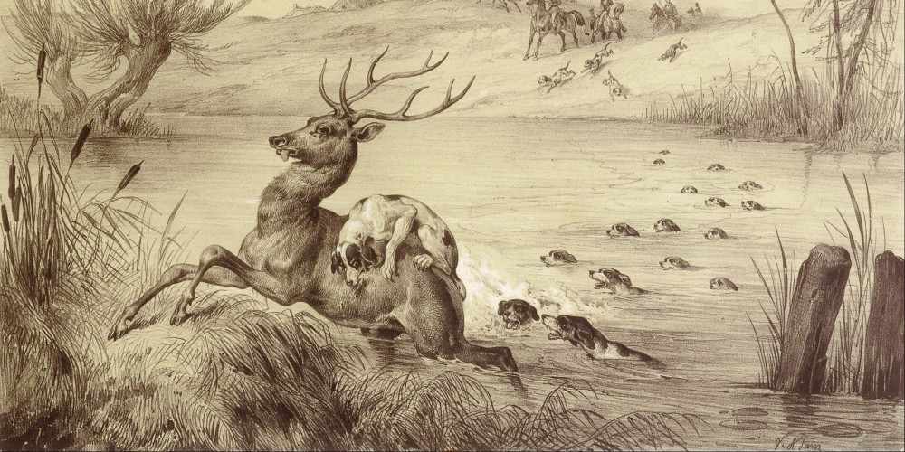 Le Cerf à l'eau : chasse à courre