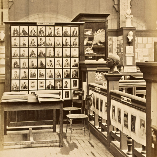 La collection anthropologique du prince Bonaparte à l’Exposition universelle de 1889