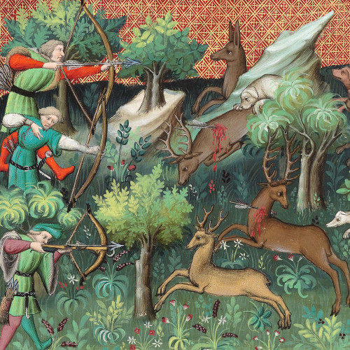 Chasse au cerf