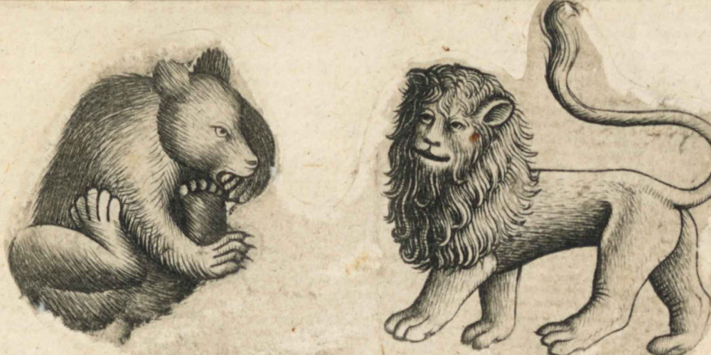 Série des lions et des ours