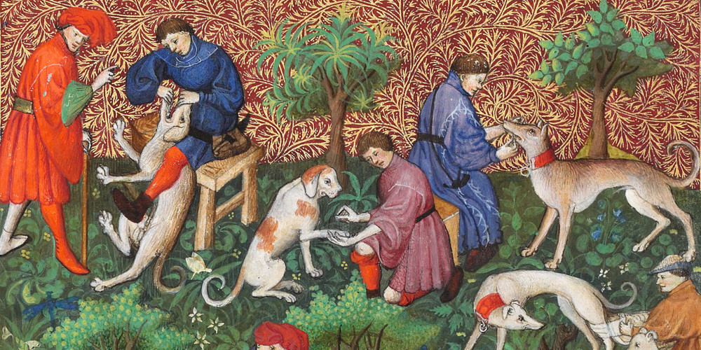 Maladies des chiens et soins à leur donner par les vétérinaires