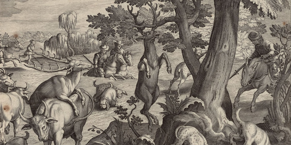 Chasse au cerf