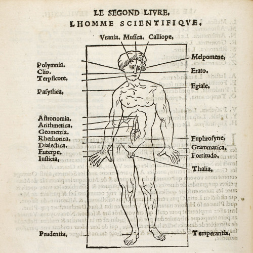 Lettre, visage et perspective 3