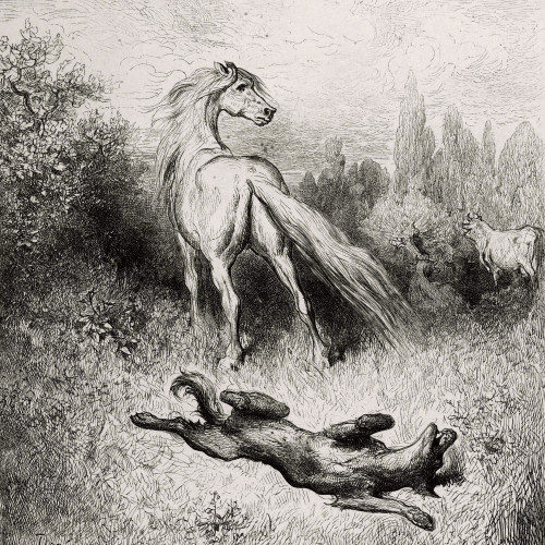 Le cheval et le loup
