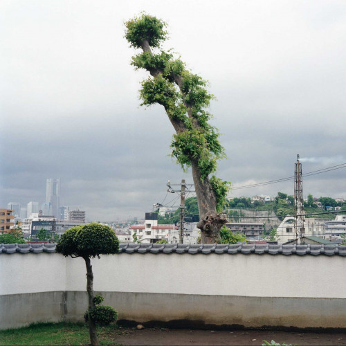 Hodogaya (Yokohama)