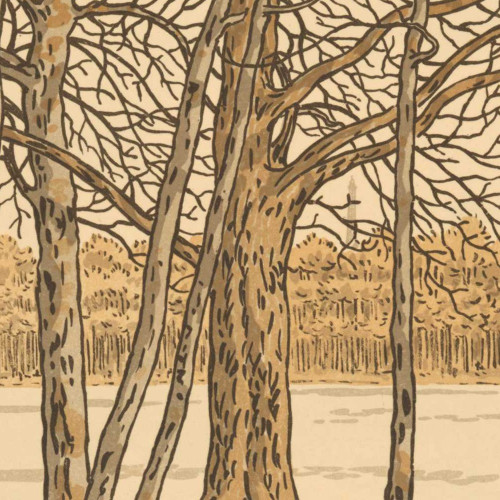 Du bois de Boulogne