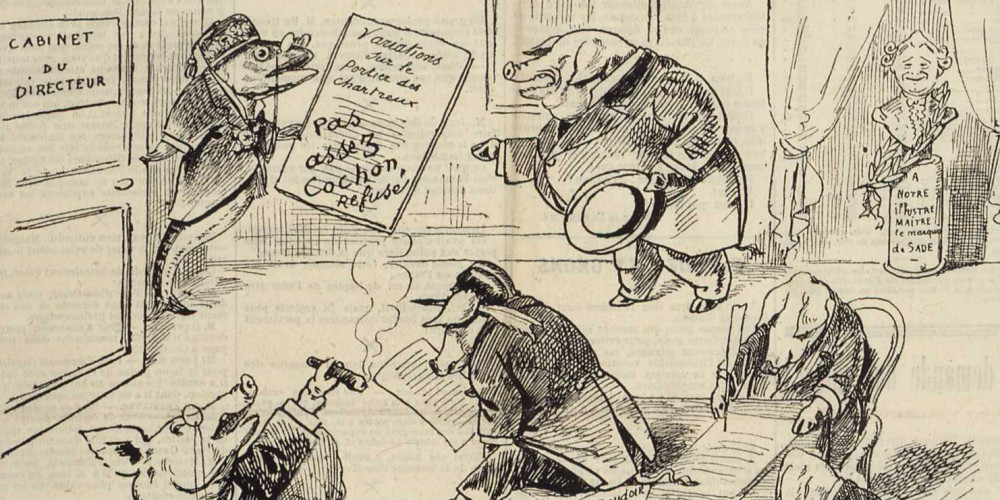 Cochon de Zola
 