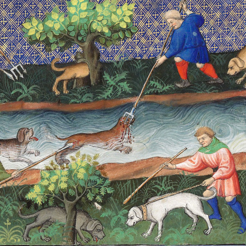 Chasse à la loutre
