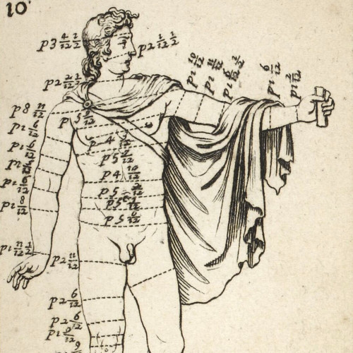 L’Apollon [du Belvédère], par devant mesuré en largeur