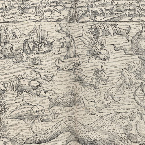 Les monstres marins dans la Cosmographie de Sébastien Münster