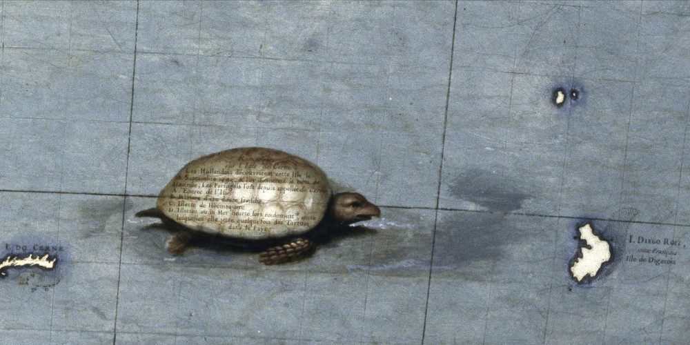 Une tortue qui a un bec comme un oiseau