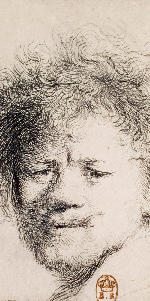 Rembrandt aux cheveux hérissés
2e état