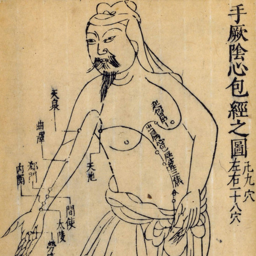 Traité d'acupunture illustré