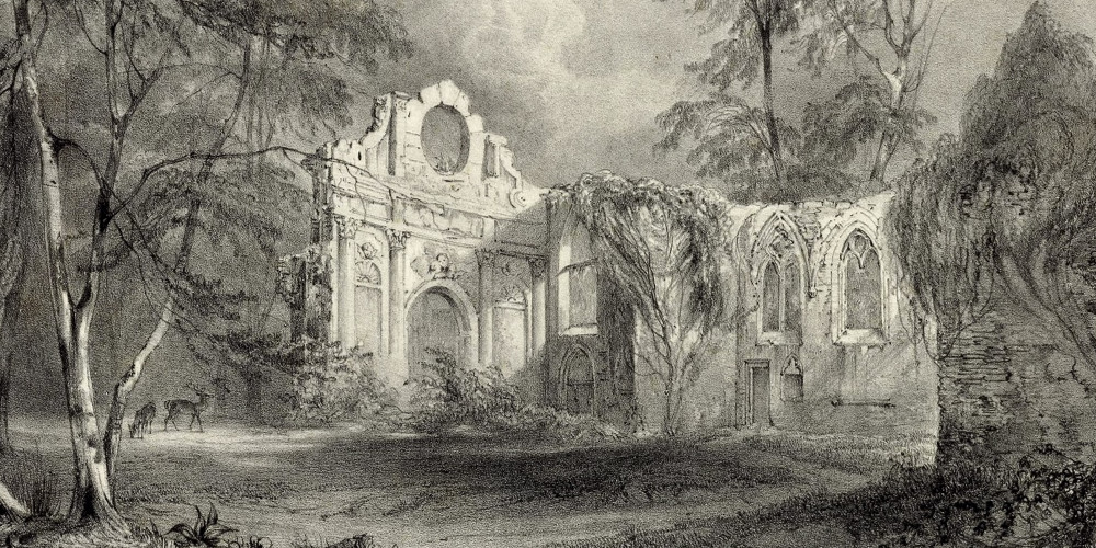 Ruines des Célestins de St Pierre