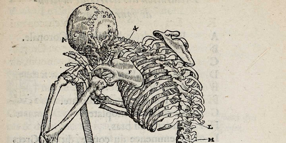 Dix livres de la chirurgie  d’ Ambroise Paré