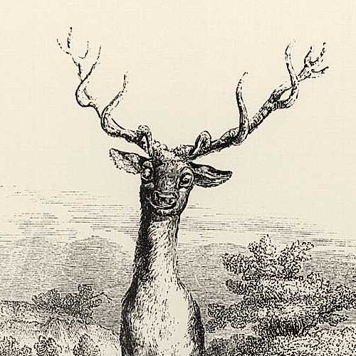 Le Cerf se voyant dans l’eau