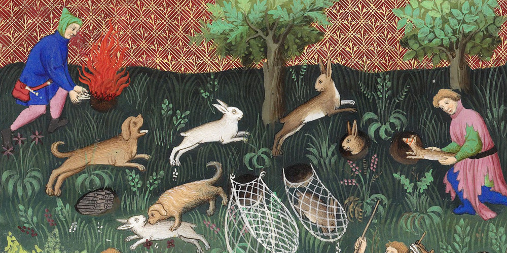 Chasse au lapin