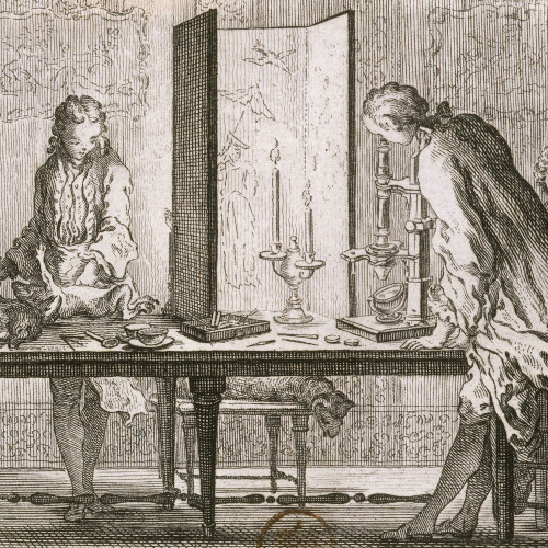 L’Observation au microscope