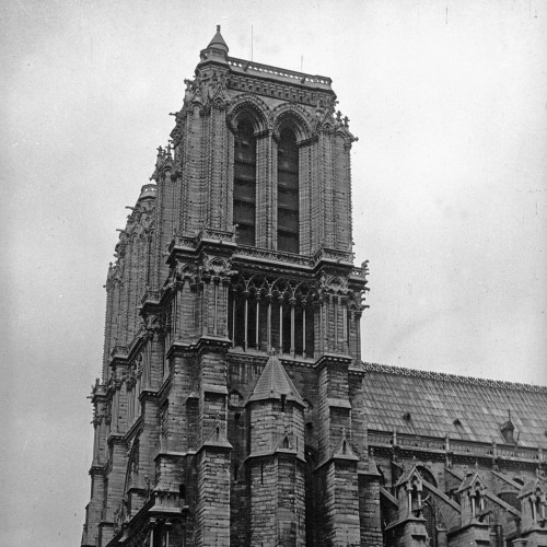 Cathédrale Notre-Dame de Paris