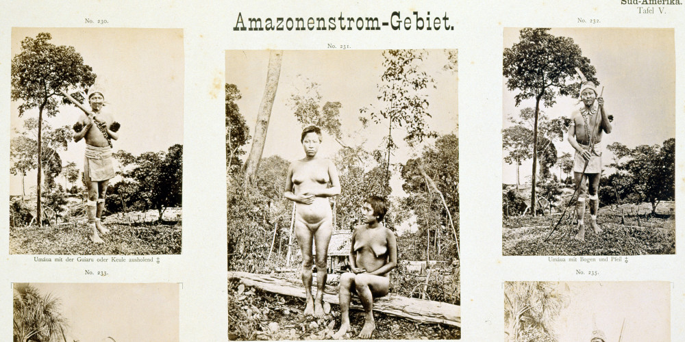 Planche anthropologique sur les populations amazoniennes