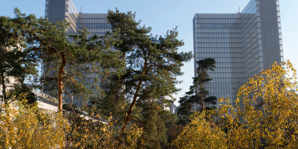 Le jardin du site François Mitterrand à l’automne