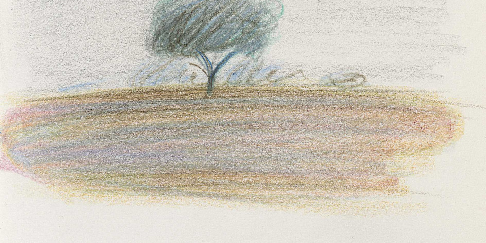 Carnet n°26