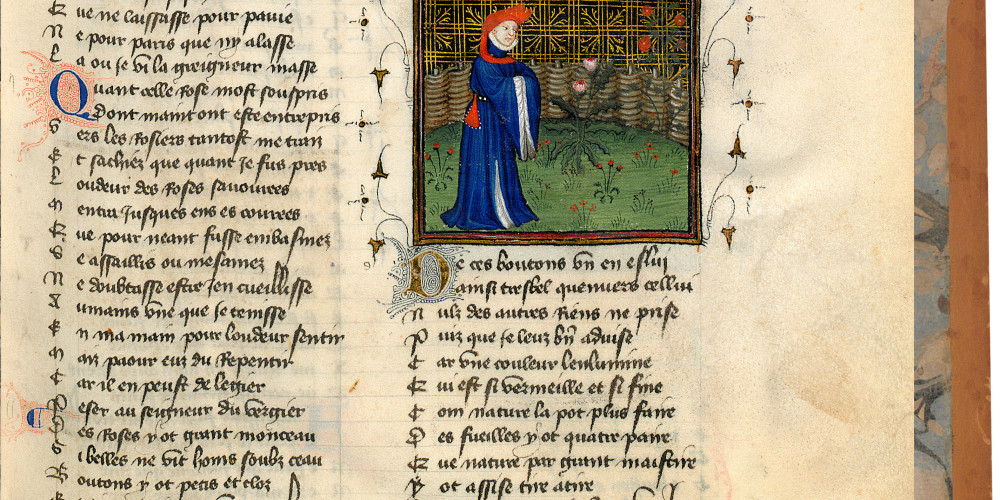 Fol. 14 : L'Amant contemple le rosier
 
