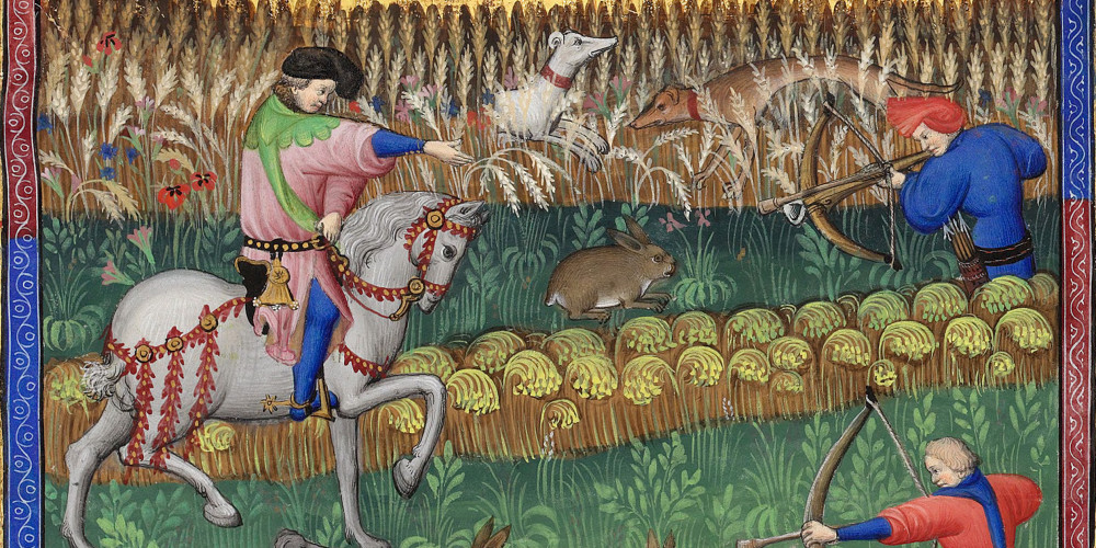 Chasse au lièvre