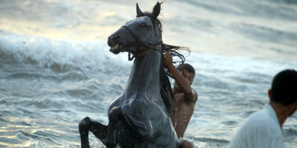 Un jeune Palestinien et son cheval sortent de l'eau au coucher du soleil dans la Méditerranée