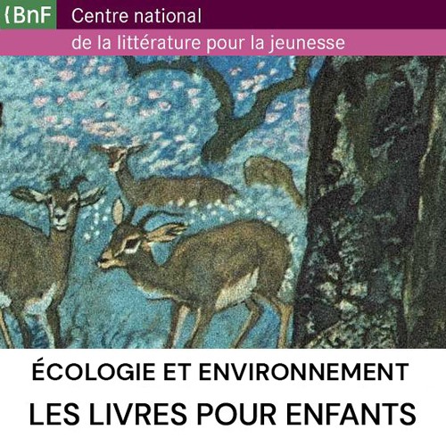 Vignette biblio CNLJ Environnement