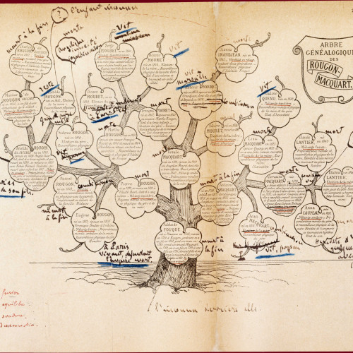Arbre généalogique des Rougon-Macquart annoté