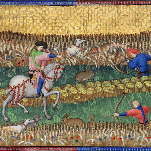 Chasse au lièvre